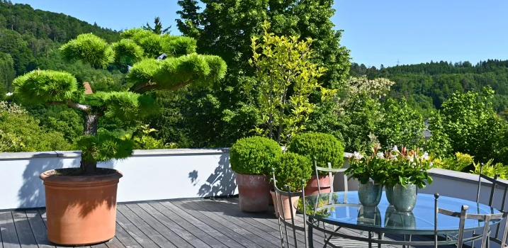 Terrassenbepflanzung als Wohlfühlort