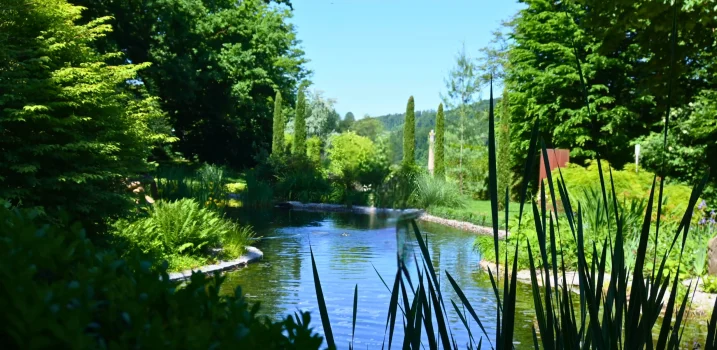 Wunderschöner Teich mit toller Bepflanzung