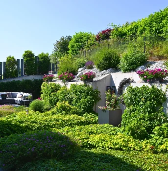 Attraktive Staudenbepflanzungen und Kletterhortensien als Wandbegrünung